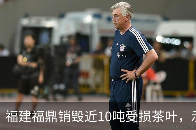 福建福鼎销毁近10吨受损茶叶，示范行业自律